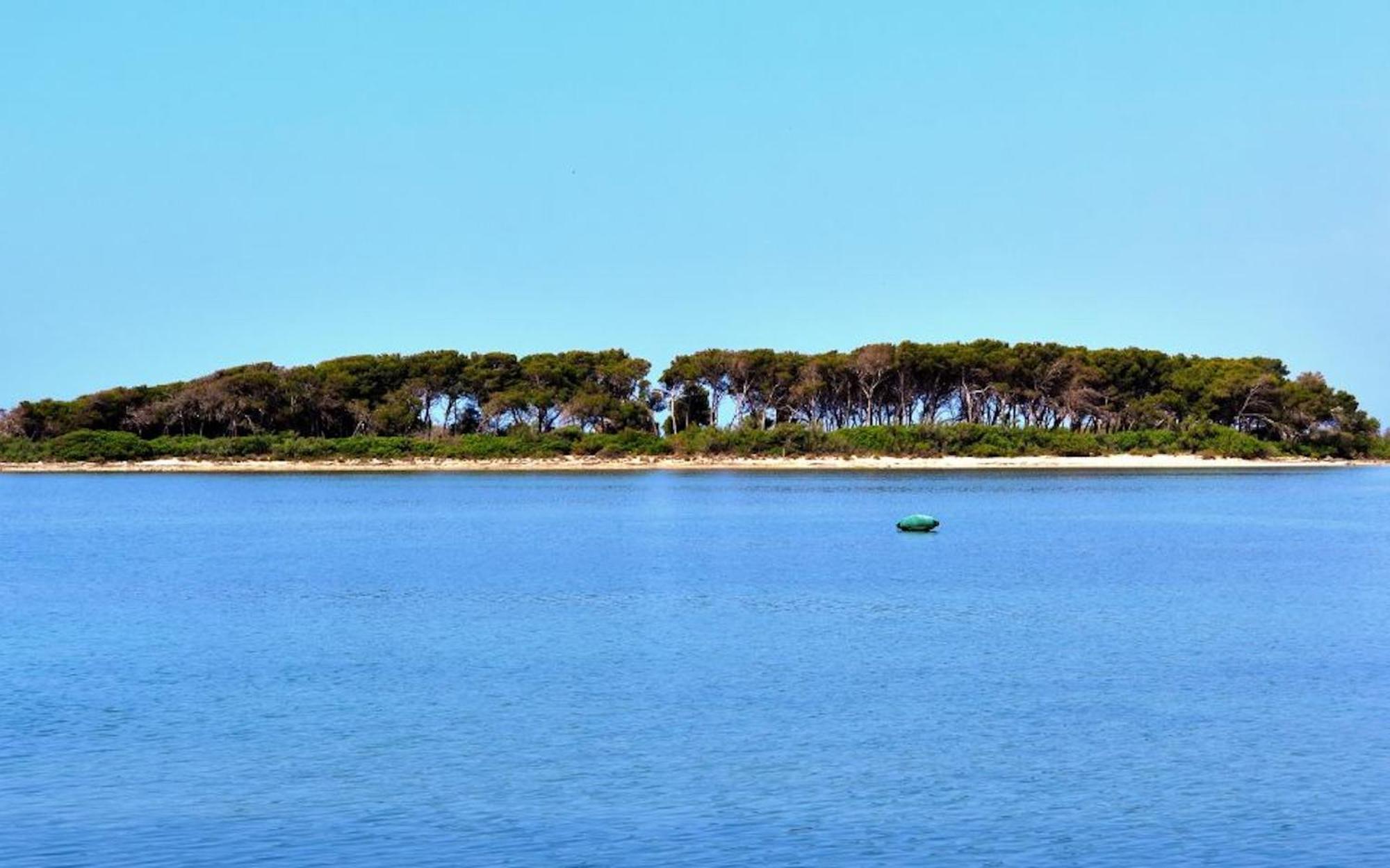 Villa Fiorella Porto Cesareo Primo Piano 2 Locali Ngoại thất bức ảnh